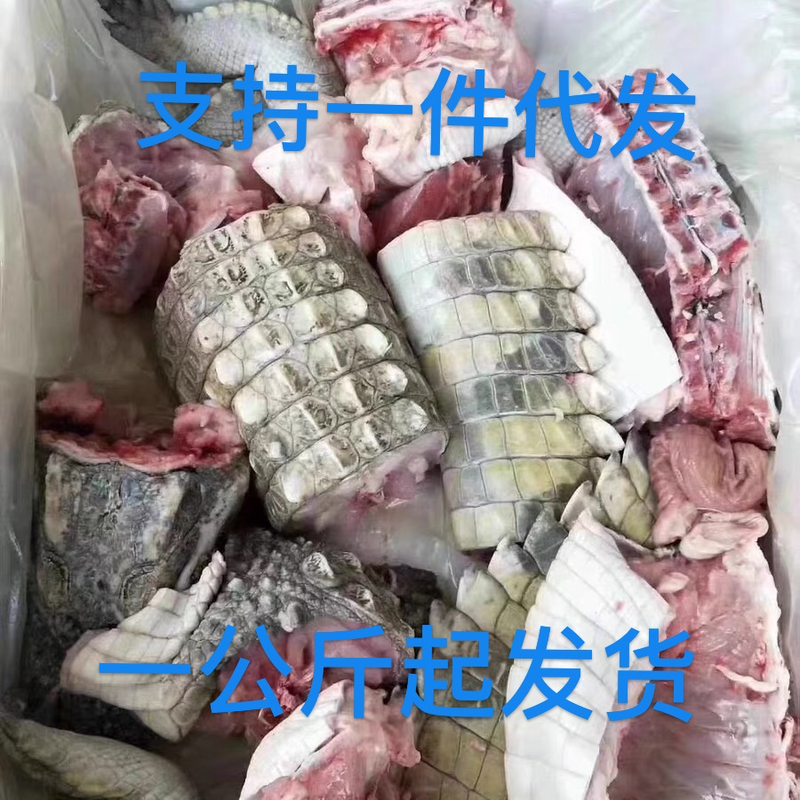 新鲜鳄鱼肉中段一公斤也是批发价：支持一件代发