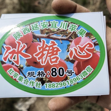红乾富士
