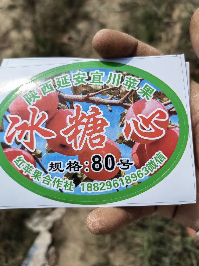 红乾富士