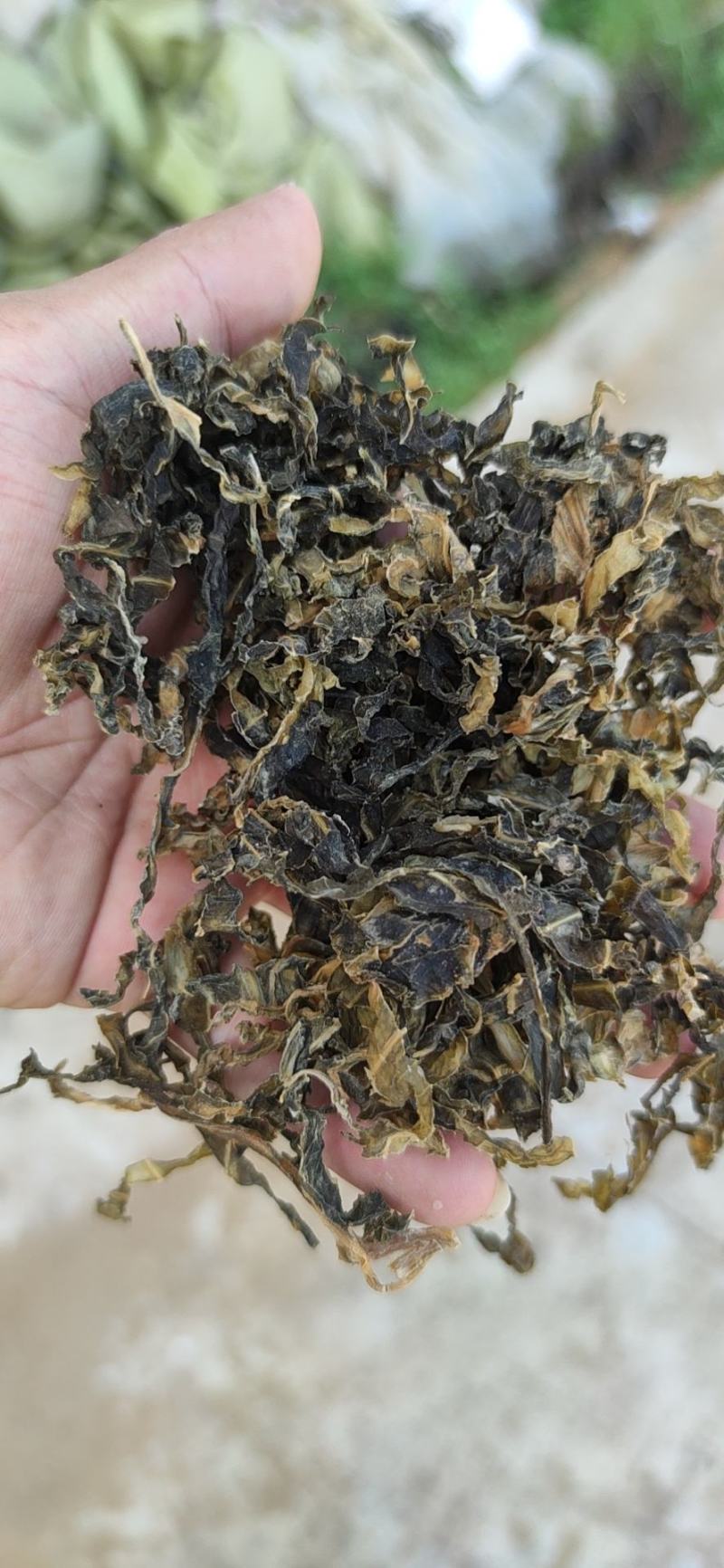 山东精品梅干菜产地直发品质保证一手货源量大从优