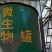 【地衣芽孢杆菌】包邮到家，根腐急救，根部土壤病害的克星