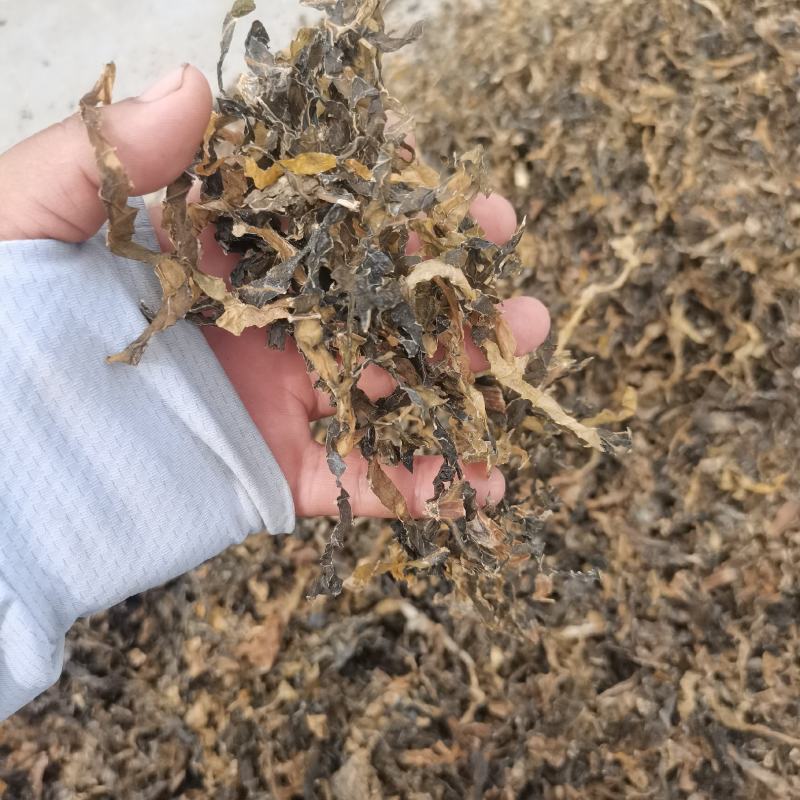 2022年当年绍兴梅干菜花菜干，货源充足