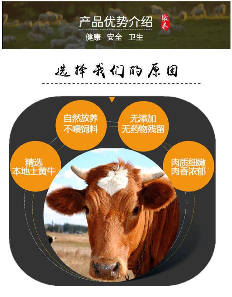 国产新鲜速冻5斤黄牛腿肉牛腩牛腱子肉牛排骨农家散养原切