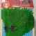 光杆茼蒿种子小叶茼蒿种孑皇帝菜冬季耐寒春季四季蔬菜秋季种