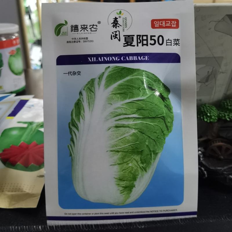 夏阳50耐热早熟白菜种子甜菜种子夏秋两季阳台庭院农户蔬菜