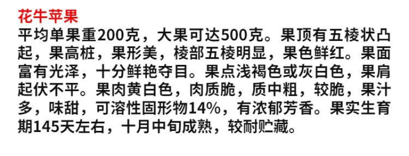 花牛苹果苗嫁接苗包成活包结果支持技术指导可签合同南北方