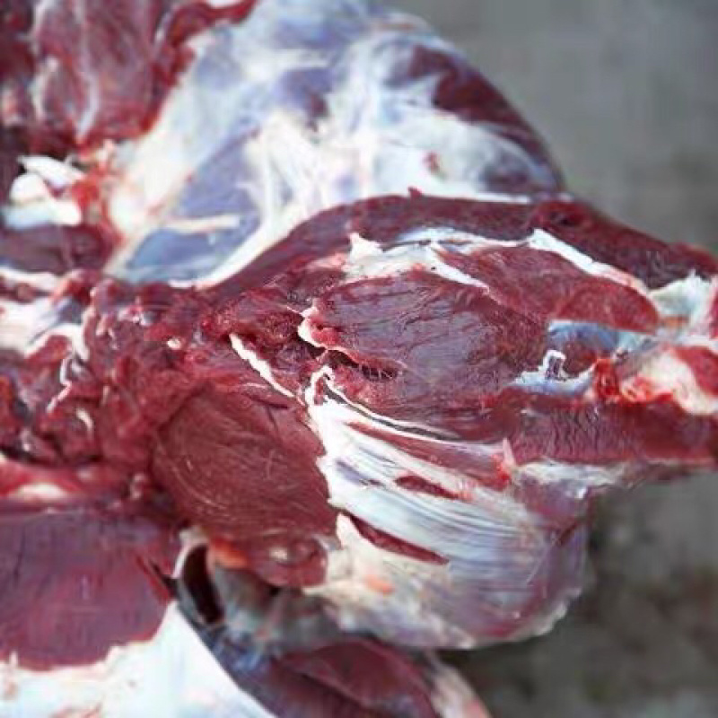 新鲜梅花鹿肉一件代发顺丰包邮