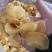 大量批发2O24年平菇干干货