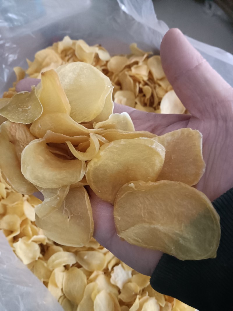 大量批发2O24年平菇干干货