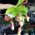 猪笼草盆栽植物花卉室内驱蚊草绿植阳台捕虫草食虫草