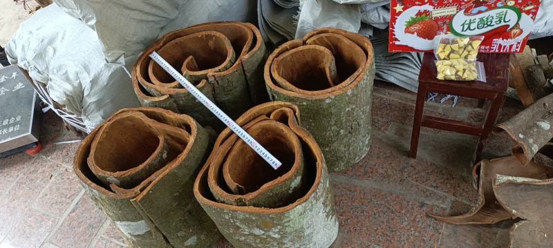 【岭南油桂】沉水桂红水桂白水桂油分足老油桂中药材