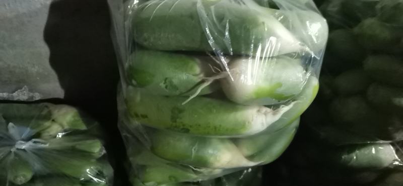 毛集镇萝卜，口感好，条形好，个头匀称，现己大量上市，