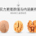 新货琥珀核桃仁连罐坚果炒货干果原味熟核桃蜂蜜味休闲零食批