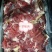内蒙古草原羊整支羊剔肉，山东，河北羊剃肉纯干货，精修油