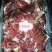 内蒙古草原羊整支羊剔肉，山东，河北羊剃肉纯干货，精修油