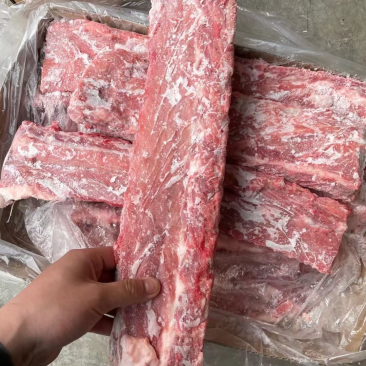 精品猪肉基地直供，多肉龙骨颜色鲜艳多肉货源充足