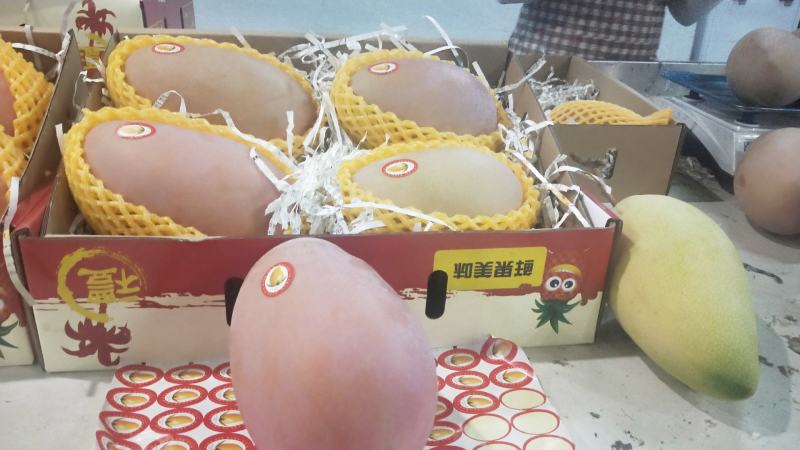 海南精品金煌芒一件代发7到9个果一箱8斤净果随机选