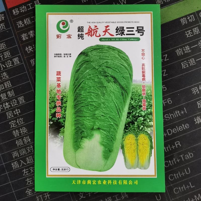 航天绿三号大白菜种子高抗78杂交山东秋季蔬菜高桶子白菜