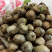 海南琼海阳江带皮老椰子，可育苗，可加工产地直销