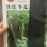 铁优大冬瓜地瓜