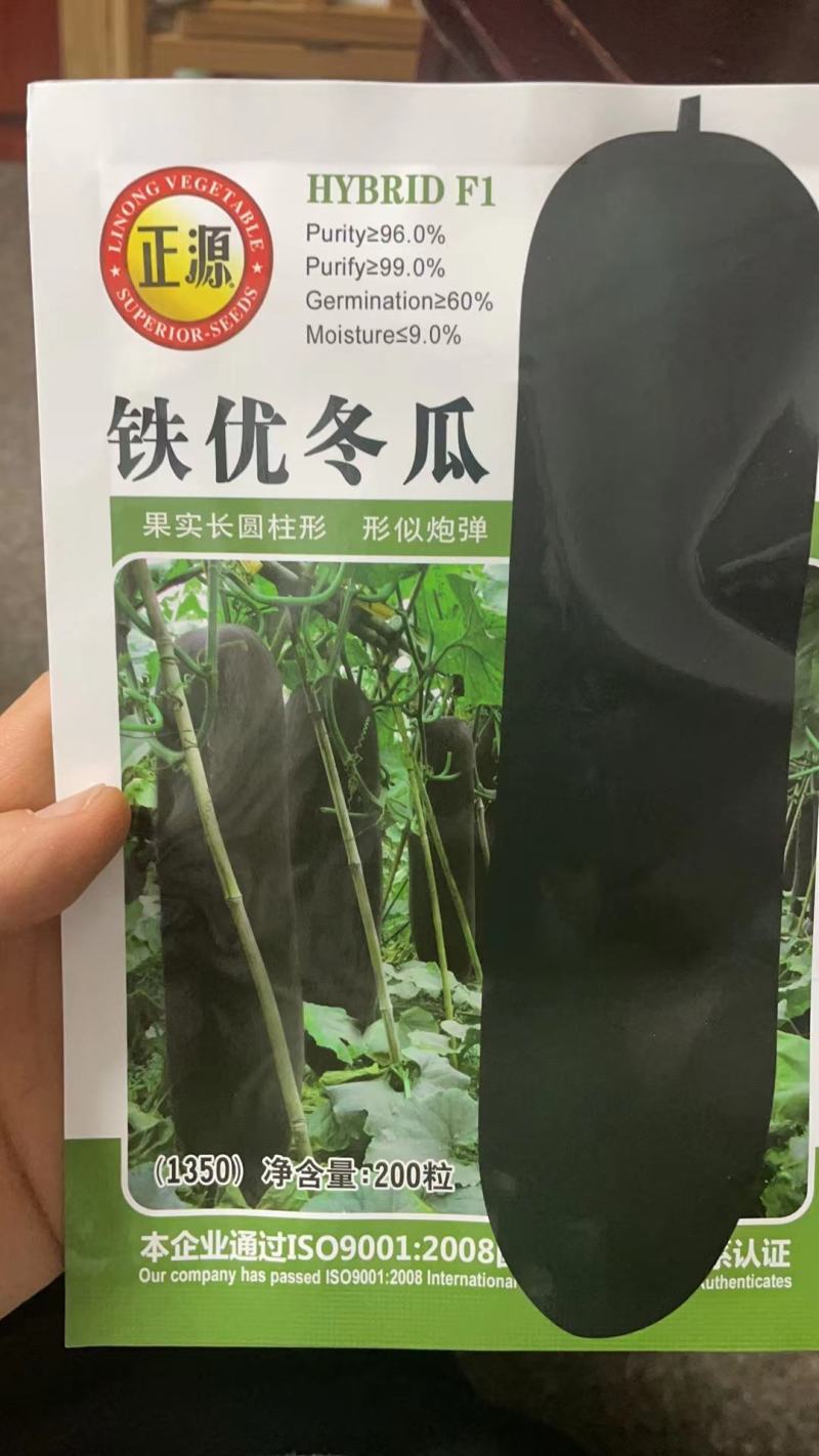 铁优大冬瓜地瓜