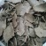 山茶油，茶籽油，另售花生粕，菜籽粕，山茶粕，，