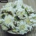 菊花七月菊各种养生花茶中药材批发诚信经营