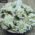 菊花七月菊各种养生花茶中药材批发诚信经营