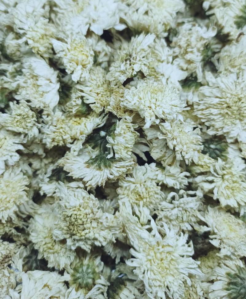 菊花七月菊各种养生花茶中药材批发诚信经营
