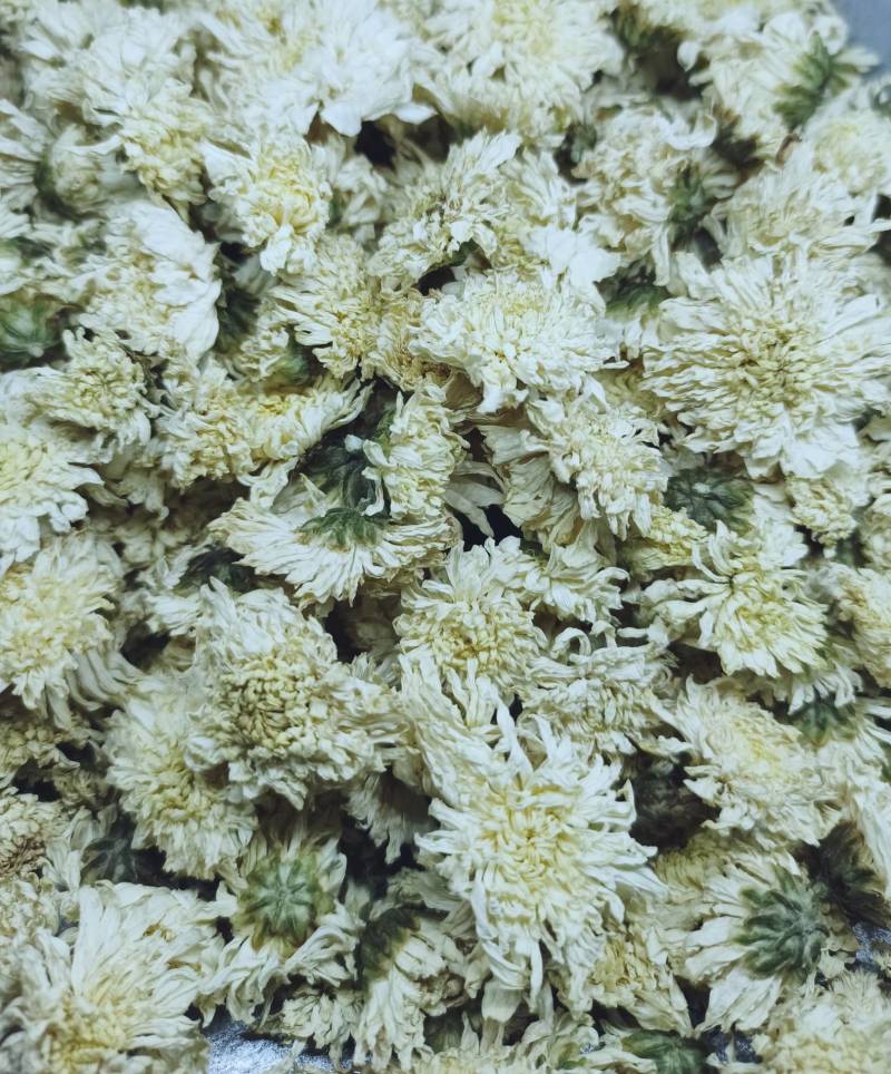 菊花七月菊各种养生花茶中药材批发诚信经营
