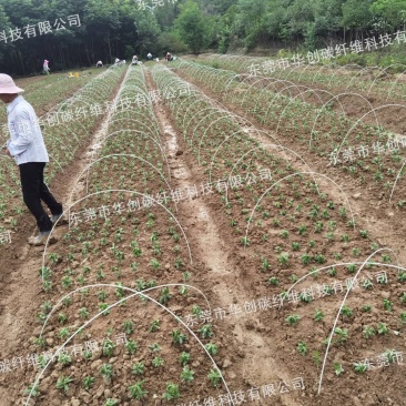 玻璃纤维杆，小拱棚，苗棚，小拱棚支架，拱棚杆，诚信经营
