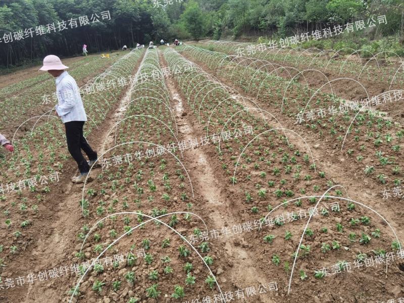 玻璃纤维杆，小拱棚，苗棚，小拱棚支架，拱棚杆，诚信经营