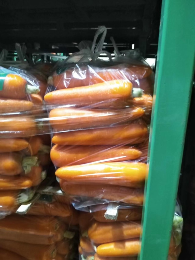 【实力】胡萝卜产地直发品质保证对接电商市场商超