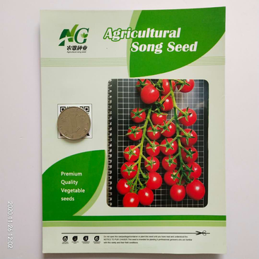 农歌T603小番茄种子杂交一代红果无线生长品种种子