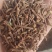 全检合格，茜草