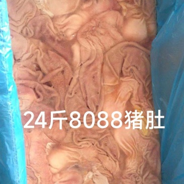 24斤装猪肚