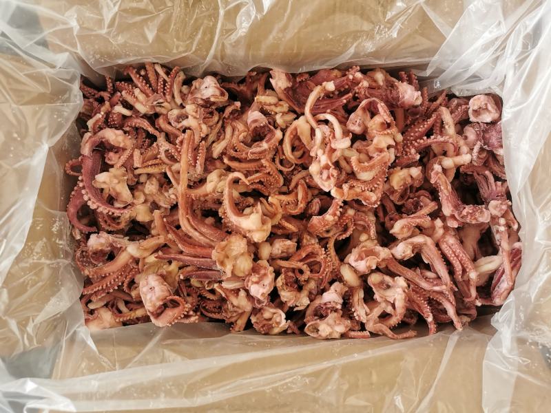 干冰脆口鱿鱼头毛重9斤工厂直供量大询价