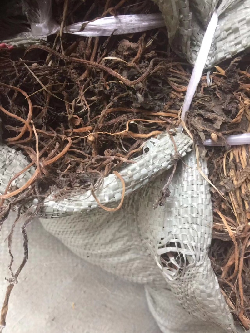 马齿苋水煮干货