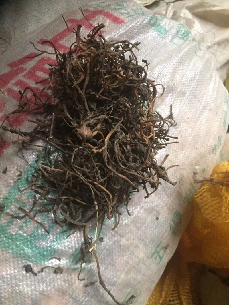 马齿苋水煮干货
