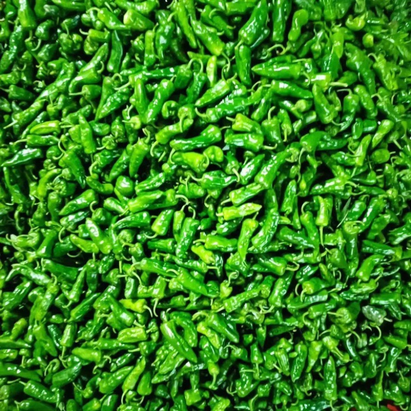 【推荐】精品鲜辣椒线椒芜湖椒薄皮椒大量上市货源充足