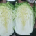 黄心白菜秋绿、中甘21、产地直供