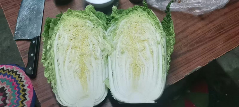 黄心白菜秋绿、中甘21、产地直供