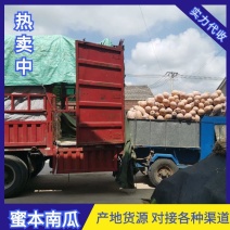 【精选】子弹头黑皮冬瓜√多年种植经验&诚信为本