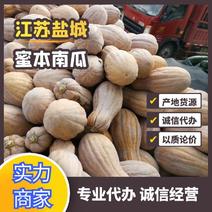 【精选】金韩蜜本南瓜7斤以上产地直供，一手货源