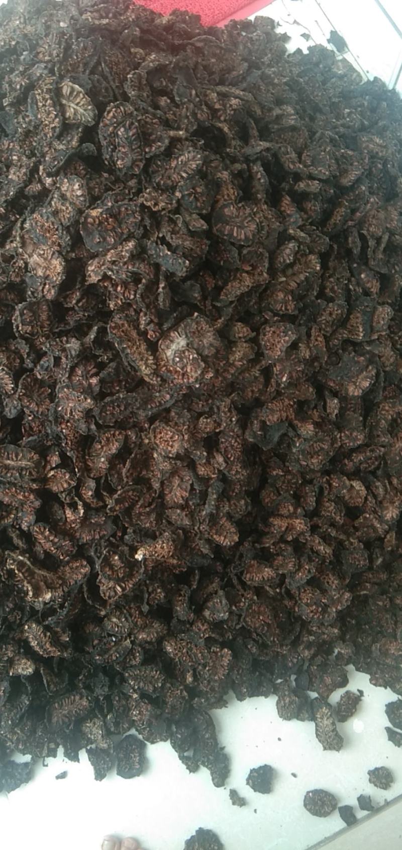 诺丽干果万宁纯黑纯色诺丽原果诺丽干片基地直发