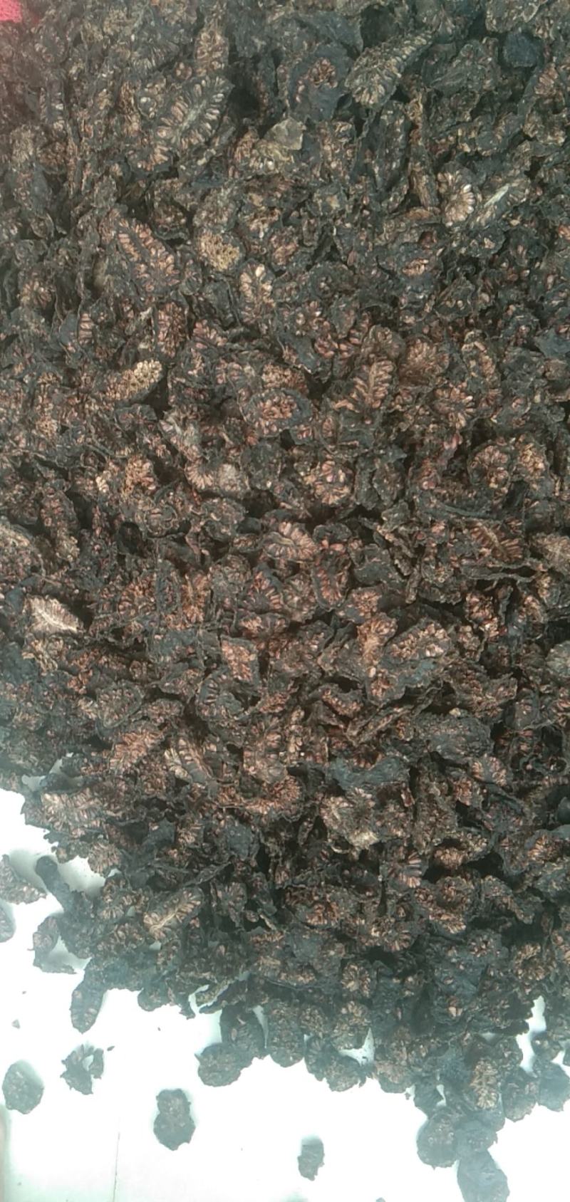 诺丽干果万宁纯黑纯色诺丽原果诺丽干片基地直发