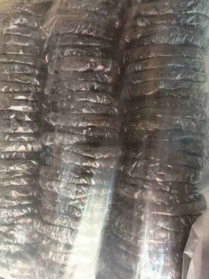 紫菜福建精品无料包40克圆饼紫菜大量上市全国发货