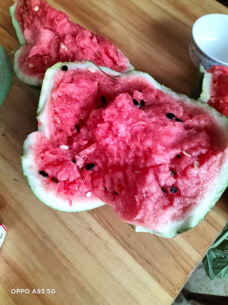 巴马所略大棚秋瓜