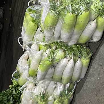 刚上市新鲜青头萝卜