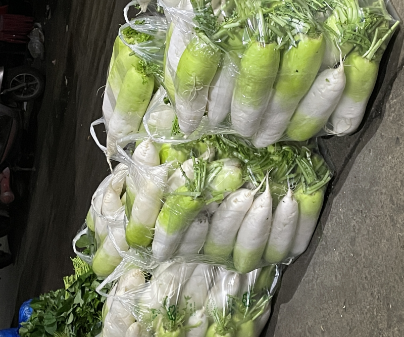 刚上市新鲜青头萝卜